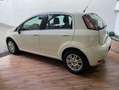 Fiat Punto CATENA NUOVA - NEOPATENTATI - BASSI CONSUMI Bianco - thumbnail 4