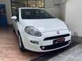 Fiat Punto CATENA NUOVA - NEOPATENTATI - BASSI CONSUMI Bianco - thumbnail 3