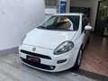 Fiat Punto CATENA NUOVA - NEOPATENTATI - BASSI CONSUMI Bianco - thumbnail 1