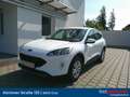 Ford Kuga 1,5 EcoBlue Cool & Connect Bianco - thumbnail 1