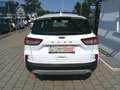 Ford Kuga 1,5 EcoBlue Cool & Connect Bianco - thumbnail 3