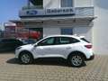Ford Kuga 1,5 EcoBlue Cool & Connect Bianco - thumbnail 2