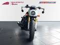 Indian Scout 101 Blanc - thumbnail 5