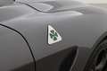 Alfa Romeo Giulia 2.9 V6 Quadrifoglio | 510pk | Harman/Kardon | NAP Grijs - thumbnail 49