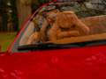 Ferrari 458 4.5 V8 Spider | Rosso Fuoco | Racing Seats | Veel Rood - thumbnail 48