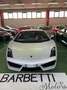 Lamborghini Gallardo 5.2 LP 560-4 E-Gear Carbonio PERMUTE RATE Alb - thumbnail 2