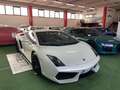 Lamborghini Gallardo 5.2 LP 560-4 E-Gear Carbonio PERMUTE RATE Alb - thumbnail 3