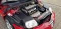 Alfa Romeo GTV 3.2 V6 *Japan Import* Rot - thumbnail 19