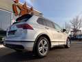 Volkswagen Tiguan R-Line 4Motion ,AHK,ACC Silber - thumbnail 21