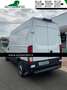 Iveco Daily 35S12V 2.3 HPT PM-SL-TA Furgone bijela - thumbnail 4