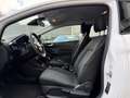 Ford Fiesta 1.1 2.Hand *Tempomat *SHZ *Cool & Sound Weiß - thumbnail 12