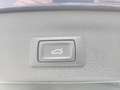 Audi Q3 35 TDI quattro intense Blau - thumbnail 31