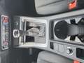 Audi Q3 35 TDI quattro intense Blau - thumbnail 18