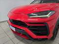 Lamborghini Urus 4.0 Rosso Mars Pano B&O TV Nacht Luft Sthzg. 23" Rot - thumbnail 5