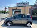 Fiat Panda 1.0 FireFly S&S Hybrid Grigio - thumbnail 3