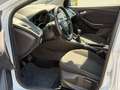 Ford Focus 1,0 EcoBoost 74kW Trend Turnier Blanc - thumbnail 10