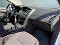 Ford Focus 1,0 EcoBoost 74kW Trend Turnier Blanc - thumbnail 27
