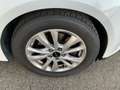 Ford Focus 2.0 Turnier Business Weiß - thumbnail 9