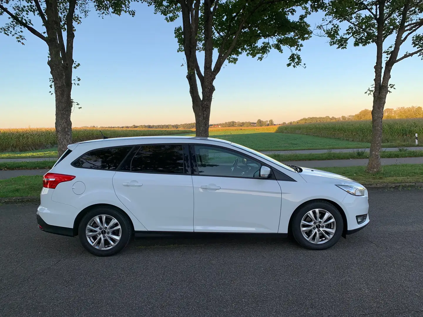 Ford Focus 2.0 Turnier Business Weiß - 2
