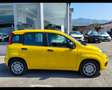 Fiat Panda 1.0 FireFly Hybrid Giallo - thumbnail 4