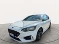 Ford Focus Focus V 2018 1.5 ecoblue ST-Line s Bianco - thumbnail 1