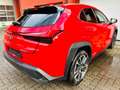 Lexus UX 250h Czerwony - thumbnail 4