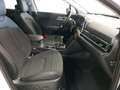 Kia Sportage SPORTAGE 1.6 T-GDI 150 VISION MJ24 KOMFORT LED Wit - thumbnail 17