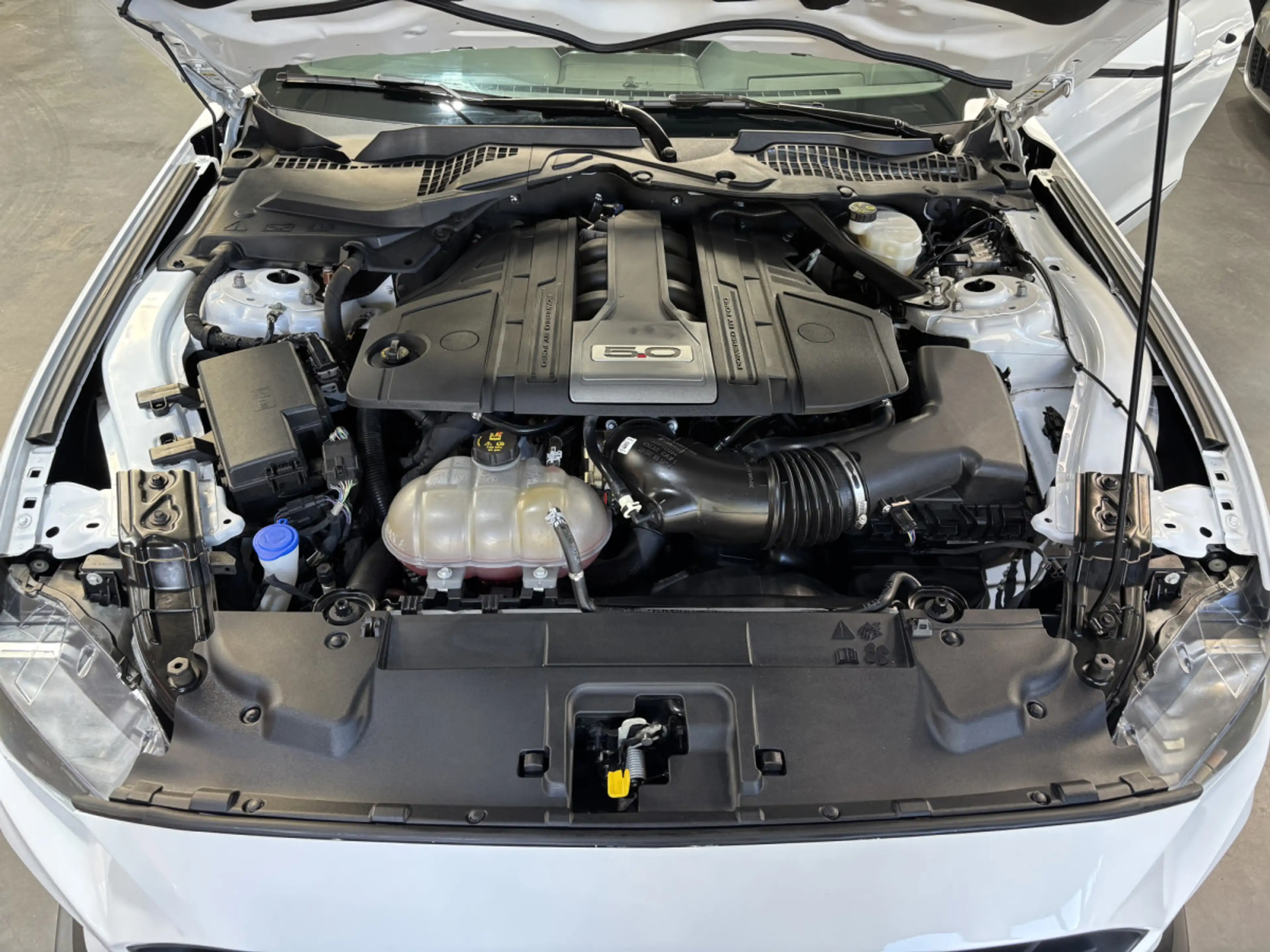 Ford Mustang 5.0 V8 WR — photo 9