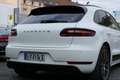 Porsche Macan Macan PDK*GTS-Paket*Pano-Schiebedach*PDC*Volleder* Wit - thumbnail 14