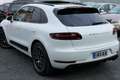 Porsche Macan Macan PDK*GTS-Paket*Pano-Schiebedach*PDC*Volleder* Wit - thumbnail 17