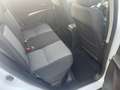 Suzuki S-Cross 1.4 COMFORT 2024 Weiß - thumbnail 13