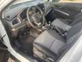 Suzuki S-Cross 1.4 COMFORT 2024 Weiß - thumbnail 9