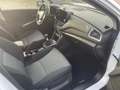 Suzuki S-Cross 1.4 COMFORT 2024 Weiß - thumbnail 11