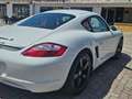Porsche Cayman Cayman 3.4 S Bianco - thumbnail 18