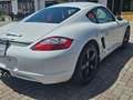 Porsche Cayman Cayman 3.4 S Bianco - thumbnail 4