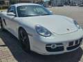 Porsche Cayman Cayman 3.4 S Bianco - thumbnail 2