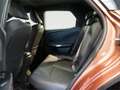 Lexus LBX 1.5 136cv HEV Elegant+ - thumbnail 11