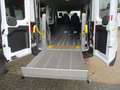 Ford Transit L3-Behinderteng/Schnierle/Rampe/LiftKlima-Euro-6- Bianco - thumbnail 4