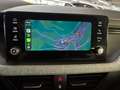 Skoda Kamiq 1.0 TSI DSG Selection LED SHZ Rfk Grau - thumbnail 14