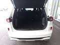Ford Kuga ST-LINE 243 PS Benzin Plug-In Hybrid Automatik ... Weiß - thumbnail 10