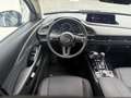 Mazda CX-30 2.5L e-SKYACTIV G  6AT FWD Homura Gris - thumbnail 12