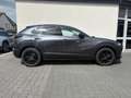 Mazda CX-30 2.5L e-SKYACTIV G  6AT FWD Homura Gris - thumbnail 7