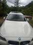 BMW 525 Serie 5 F11 Touring 525d Touring xdrive auto Weiß - thumbnail 17