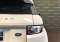 Land Rover Range Rover Evoque 2.2 TD4 5p. SE Pack Edition Weiß - thumbnail 7