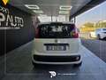 Fiat Panda 1.2 Pop 69cv Blanc - thumbnail 5