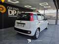 Fiat Panda 1.2 Pop 69cv Blanc - thumbnail 4