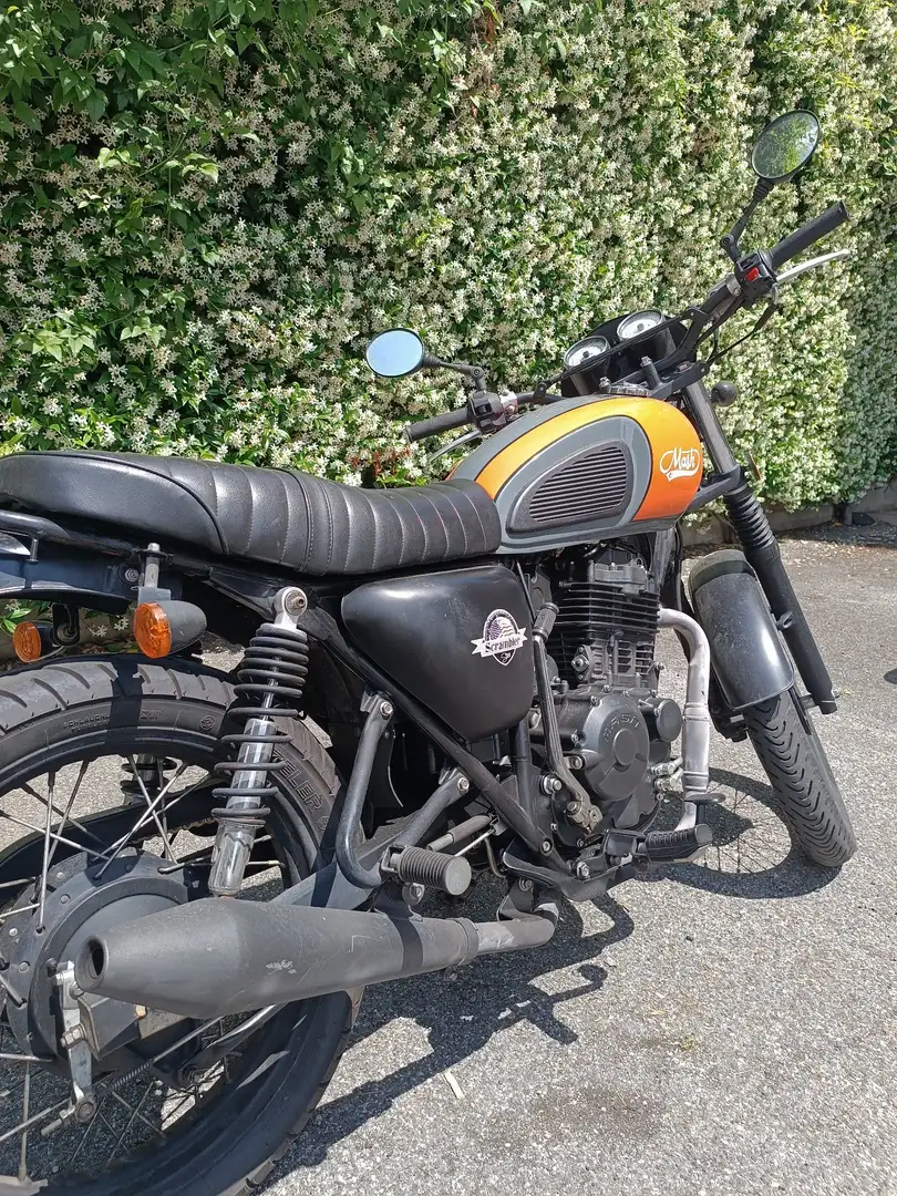 Mash Scrambler Oranžová - 2
