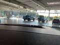 Ford Kuga 2,5 l Duratec ST Line X Negro - thumbnail 16