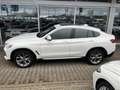 BMW X4 xDrive20d A X-Line 19'' HUD AD AHK Pano ACC LED Na Weiß - thumbnail 6