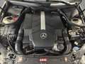 Mercedes-Benz CLK 500 designo by Giorgio Armani 1 of 100 - thumbnail 21